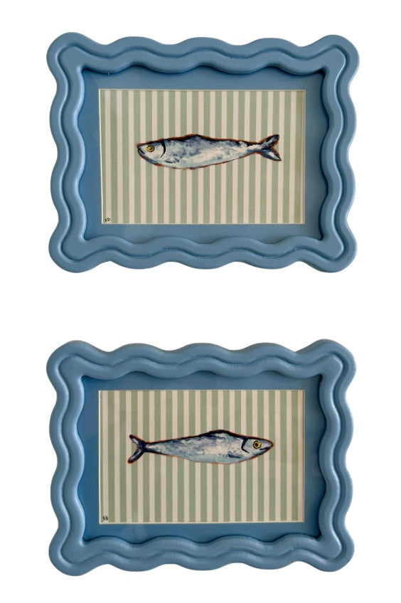 Blue Scalloped Sardines